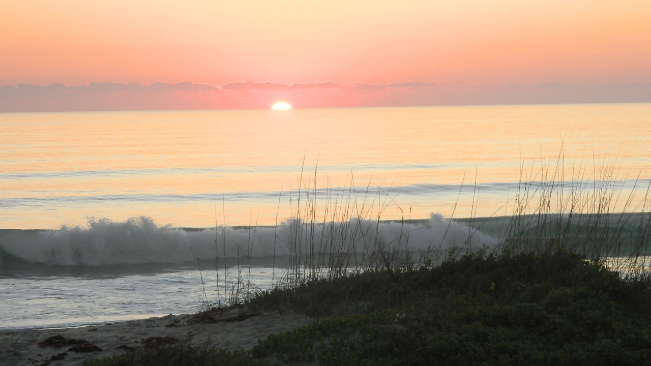 Photo of Others in Cocoa Beach