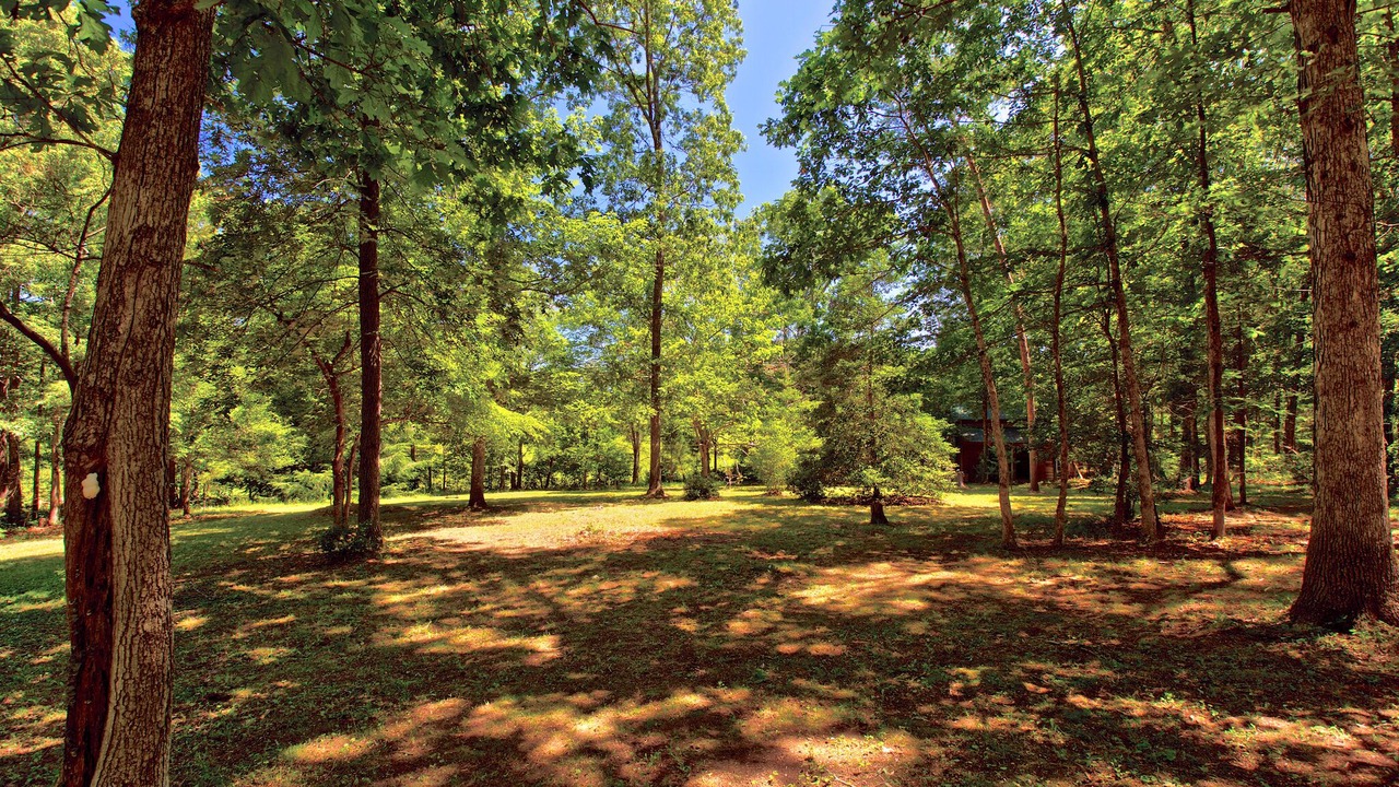 Photo of Outdoor in Rising Fawn