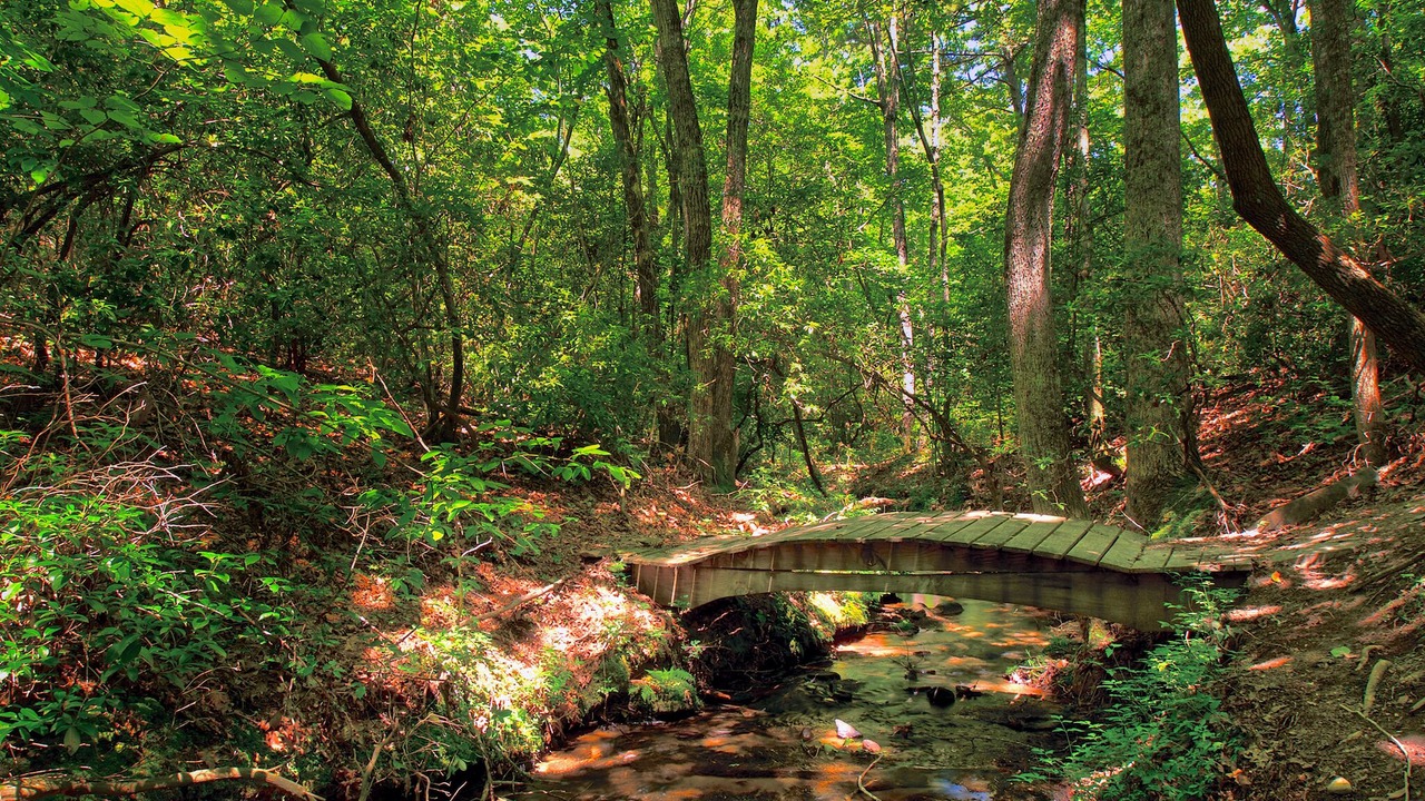 Photo of Outdoor in Rising Fawn