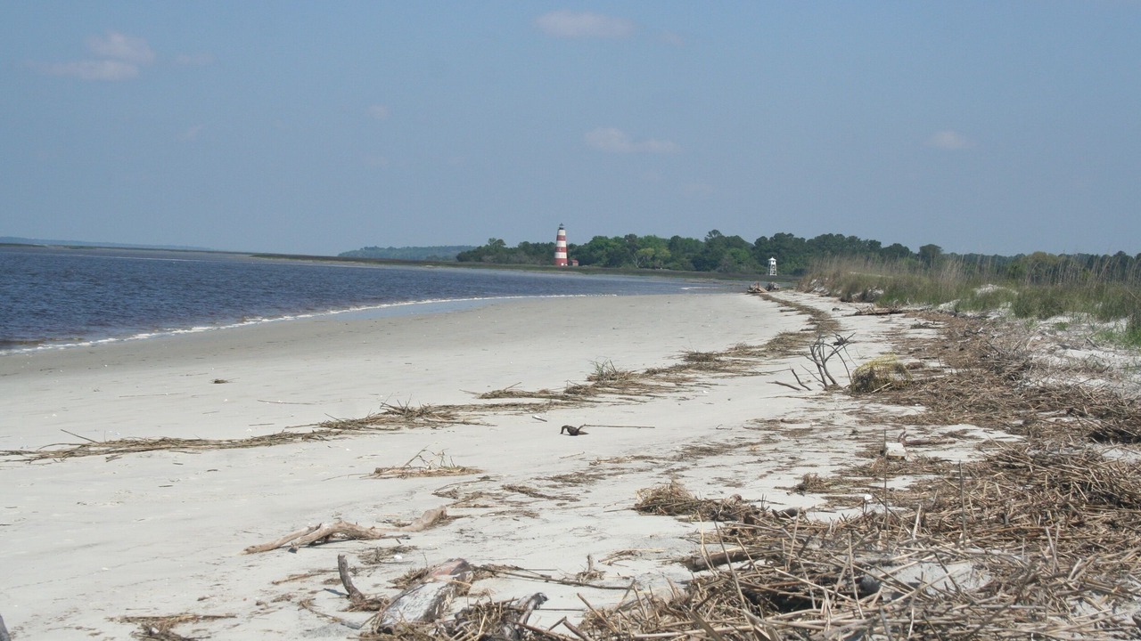 Photo of Others in Darien