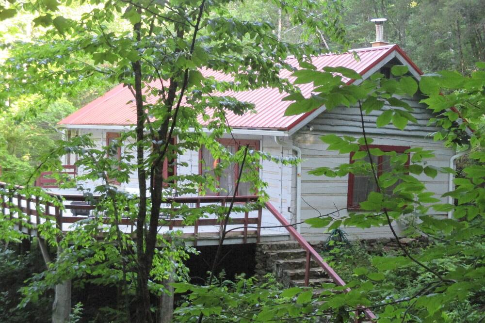 Photo of Others in Canton