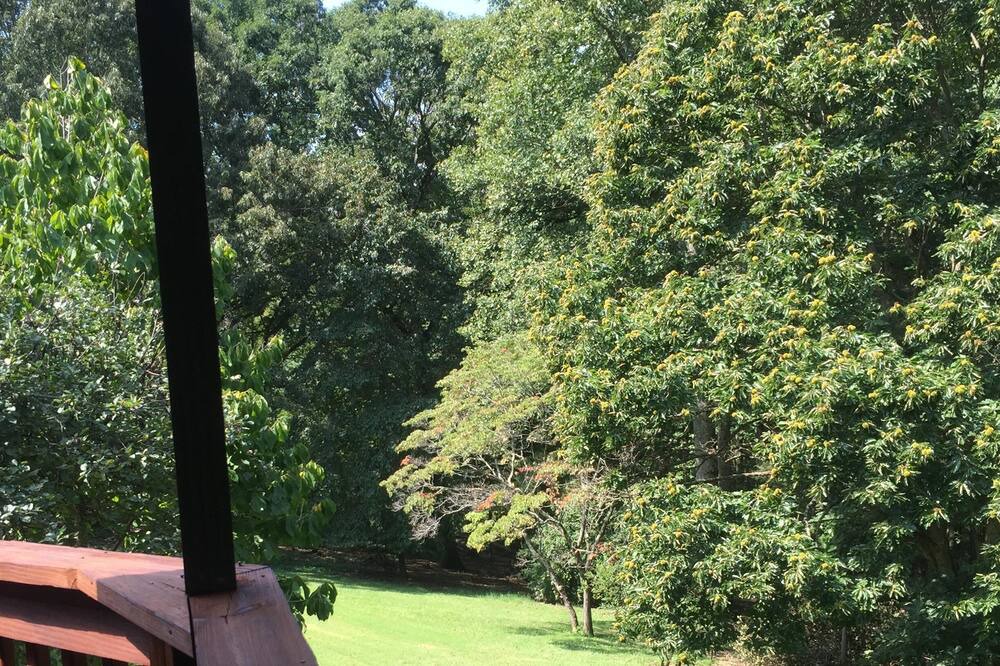 Photo of Outdoor in Asheville