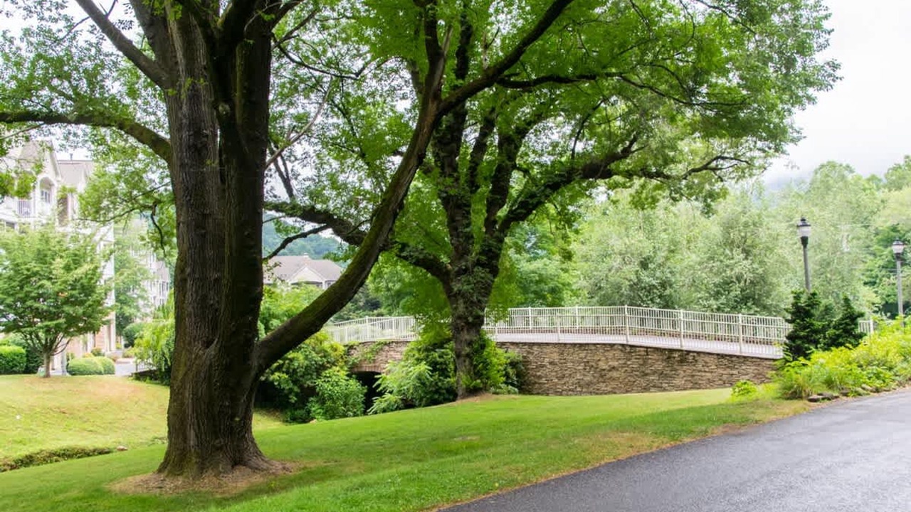 Photo of Others in Maggie Valley
