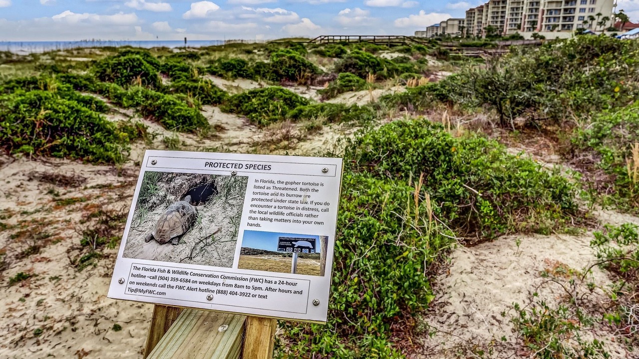Photo of Others in Fernandina Beach