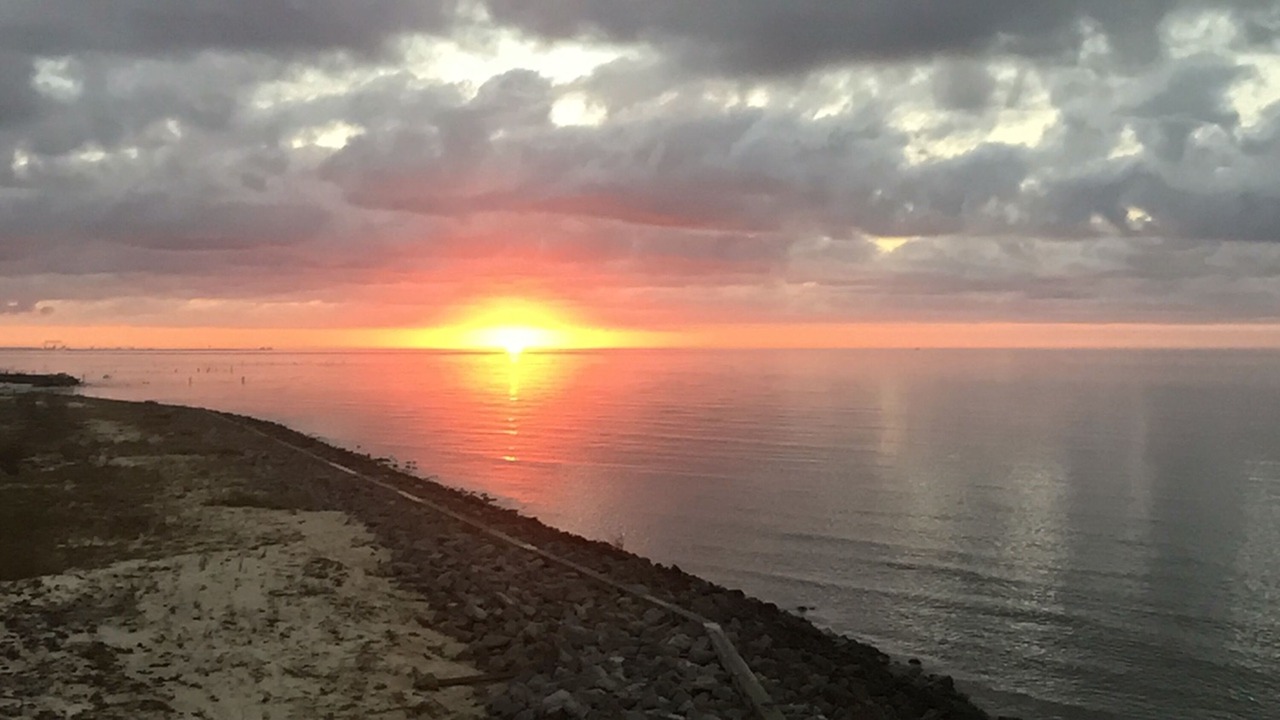 Photo of Outdoor in Ocean Springs