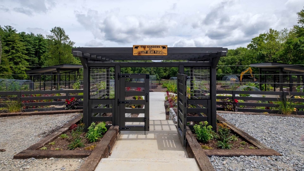 Photo of Outdoor in Balsam Grove
