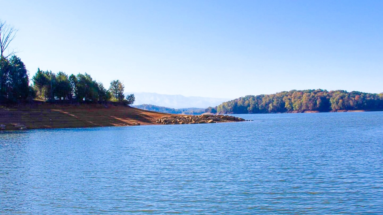 Photo of Others in Baneberry