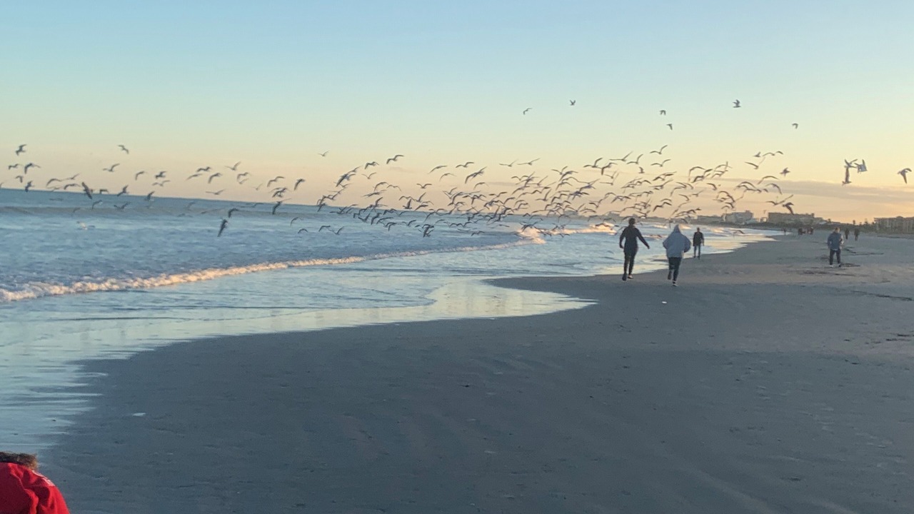 Photo of Others in Port Canaveral