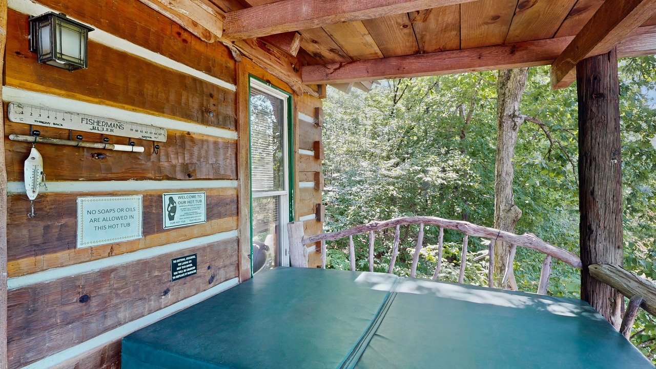 Photo of Outdoor in Jackson
