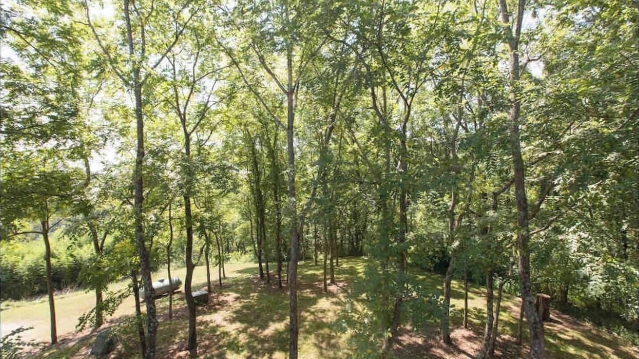 Photo of Others in Marshall