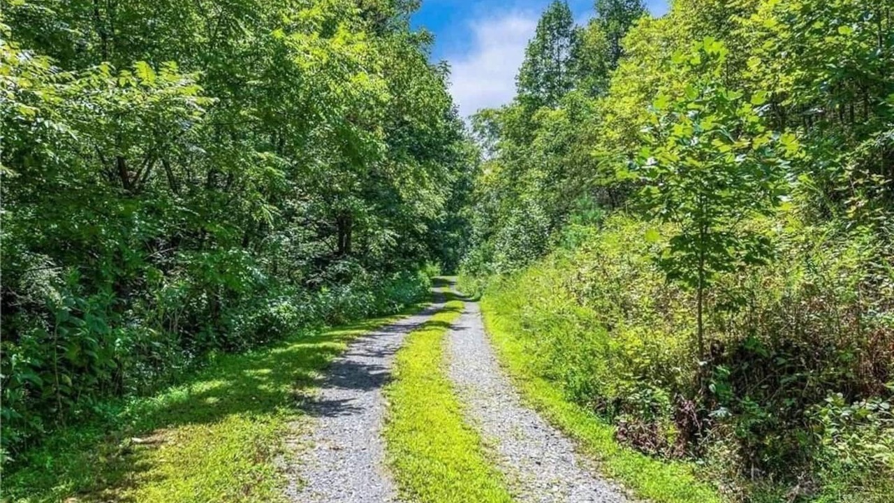 Photo of Outdoor in Marshall