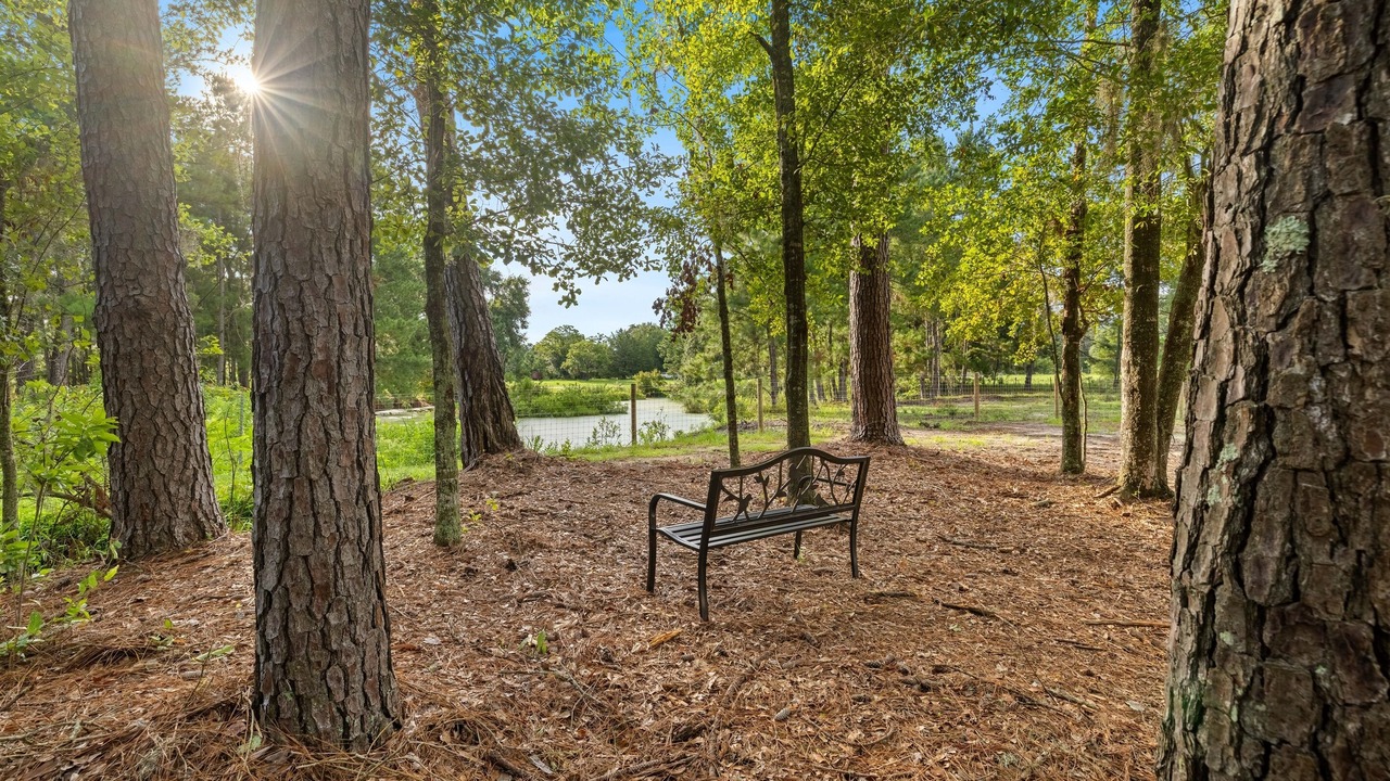 Photo of Outdoor in Lake City