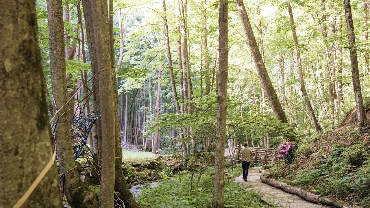 Photo of Outdoor in Hot Springs