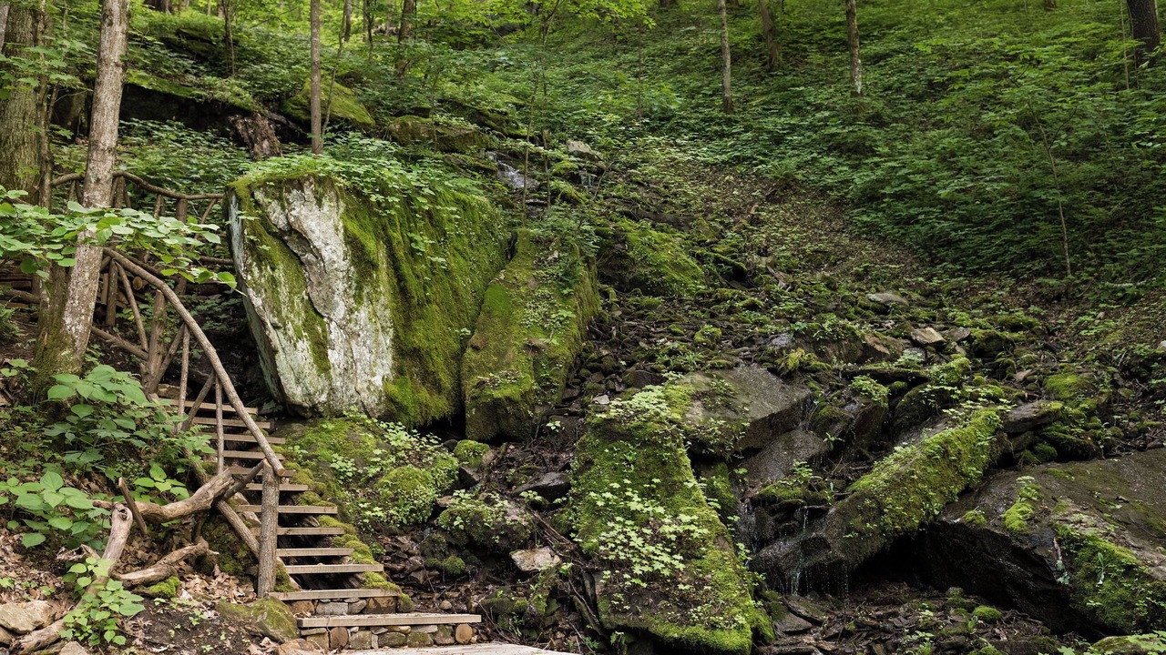 Photo of Outdoor in Hot Springs