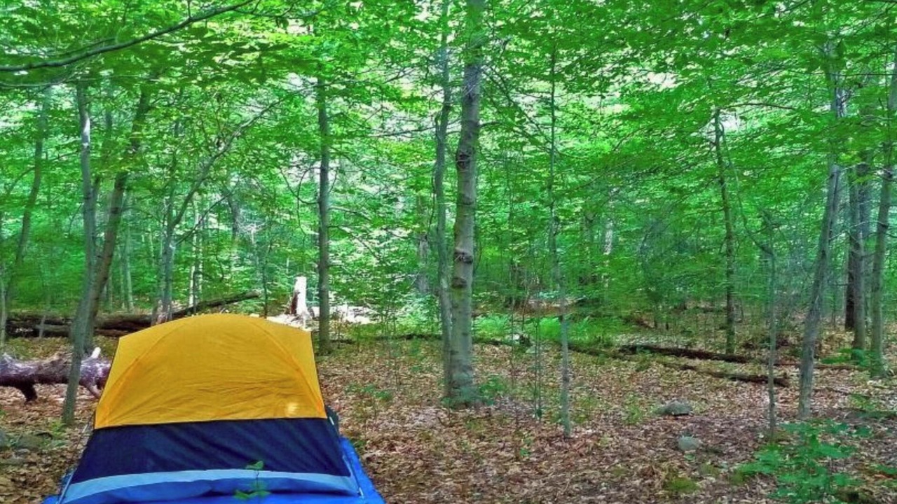 Photo of Outdoor in Cullman