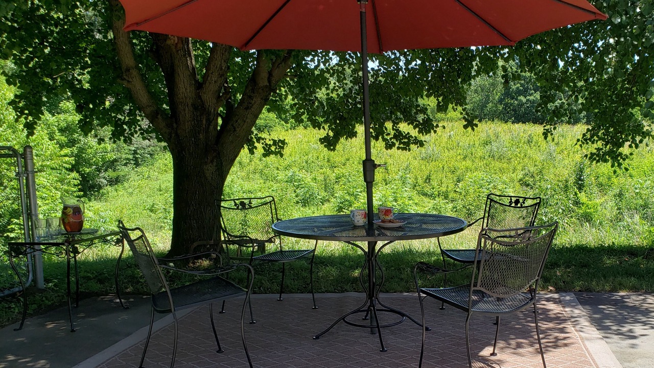 Photo of Outdoor in Boyds Creek