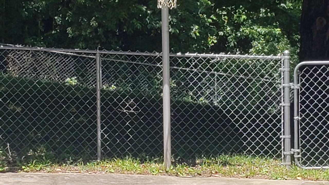 Photo of Others in Boyds Creek
