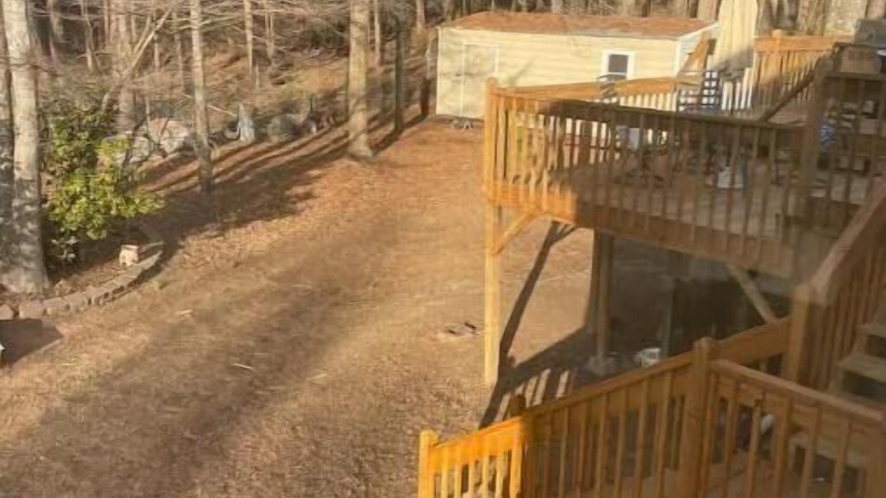Photo of Others in Powder Springs