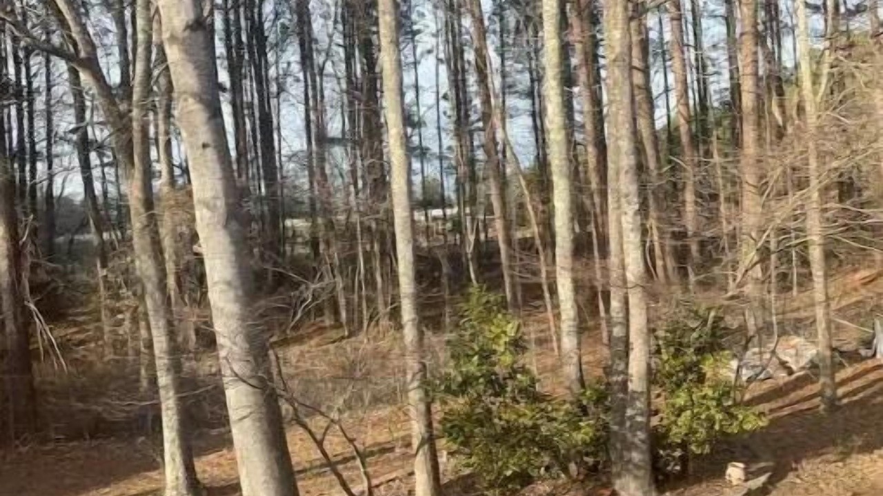 Photo of Others in Powder Springs