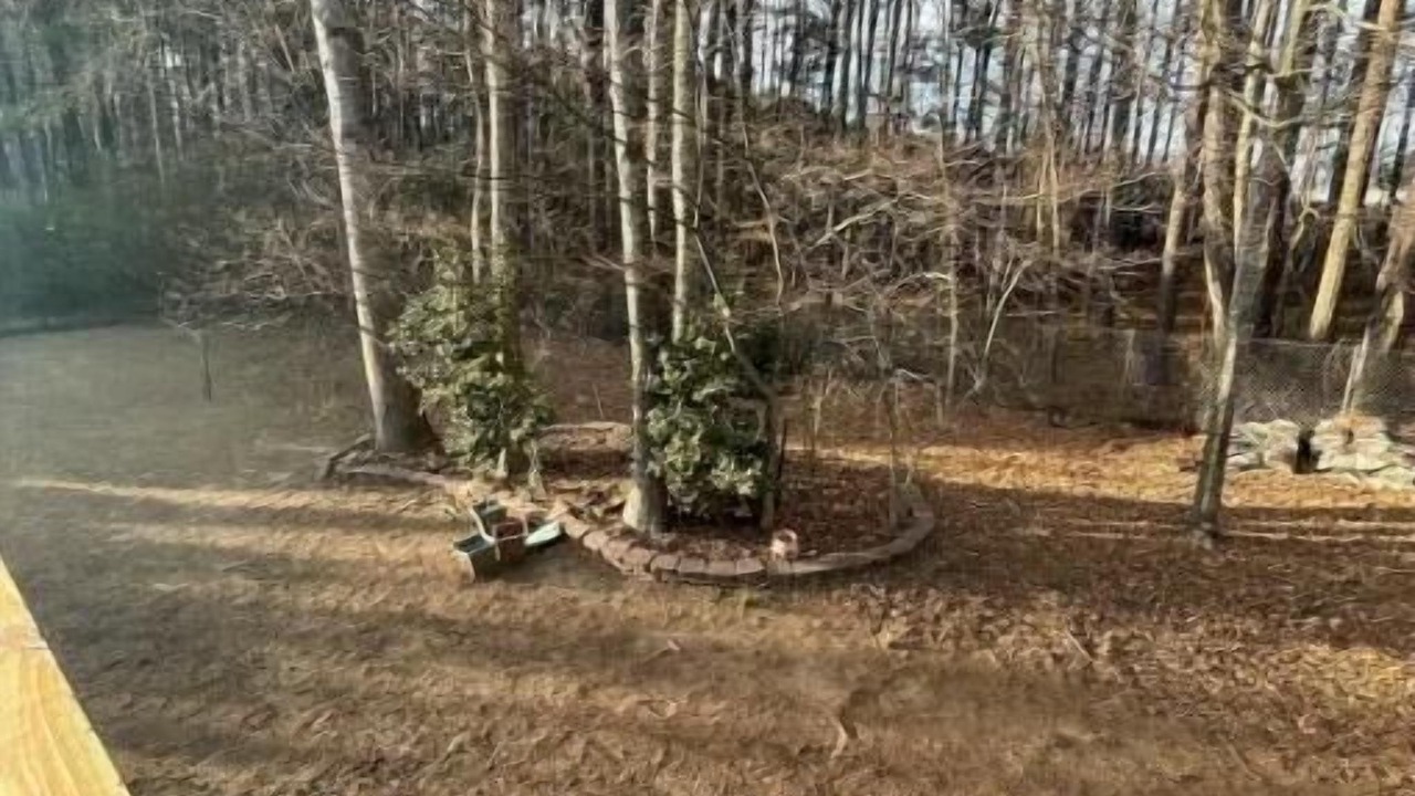 Photo of Outdoor in Powder Springs
