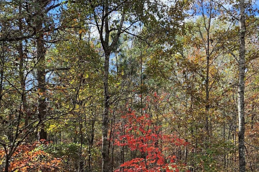 Photo of Outdoor in Salem