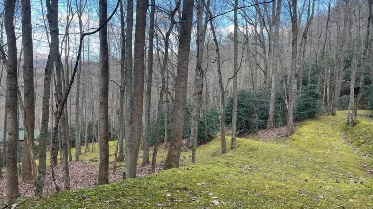 Photo of Outdoor in Clyde
