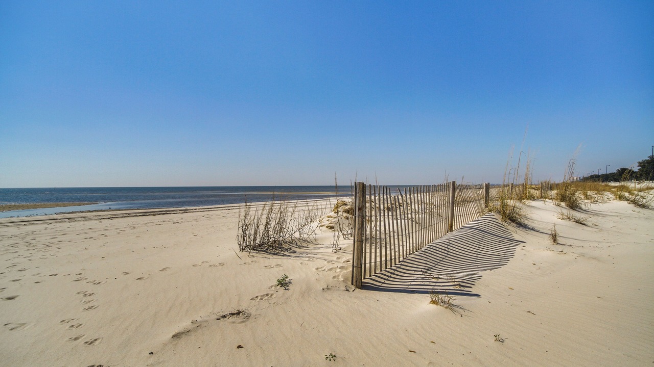 Photo of Others in Gulfport