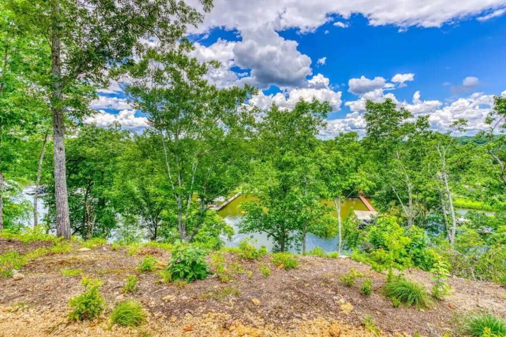Photo of Outdoor in Rogersville