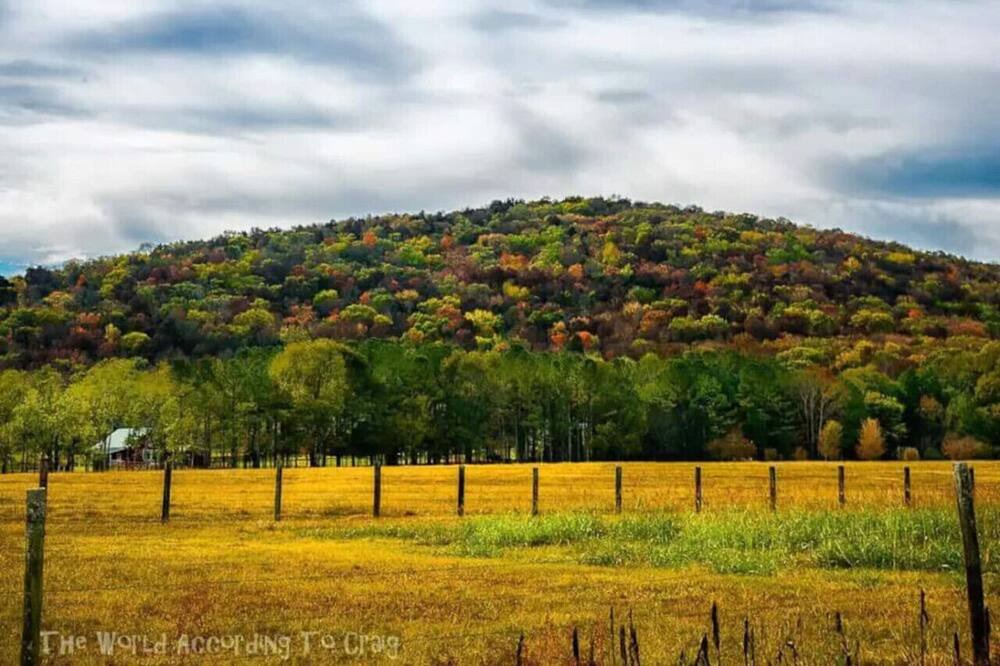 Photo of Others in Rogersville