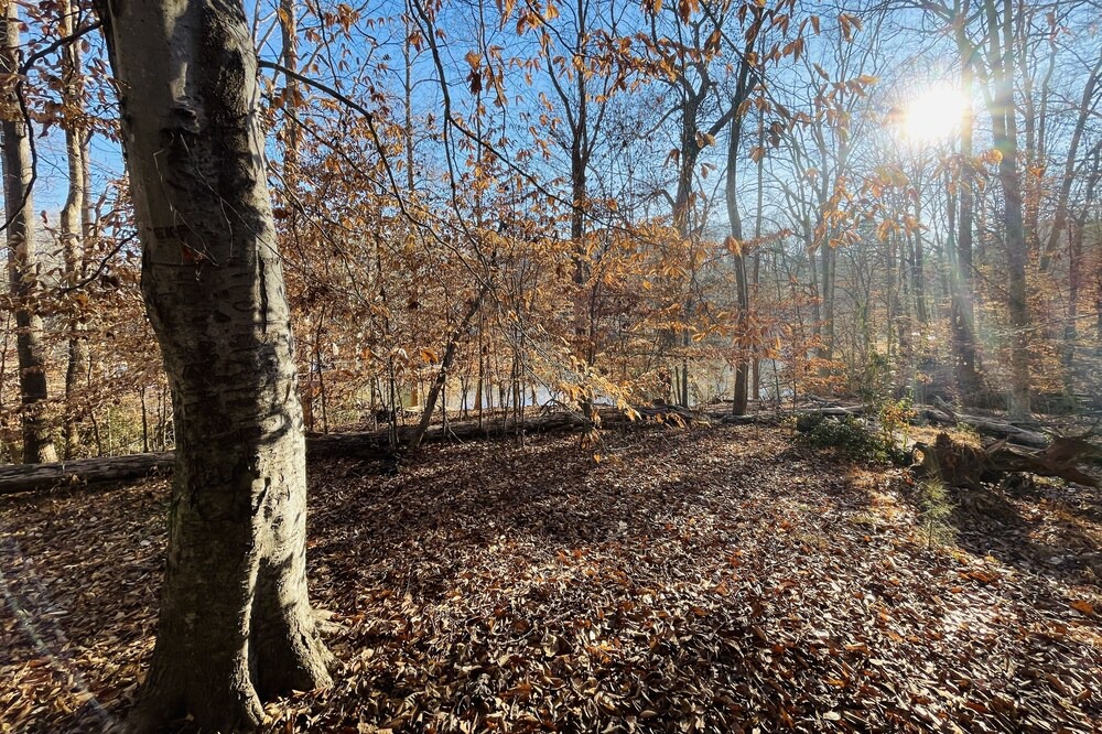 Photo of Outdoor in Clemmons