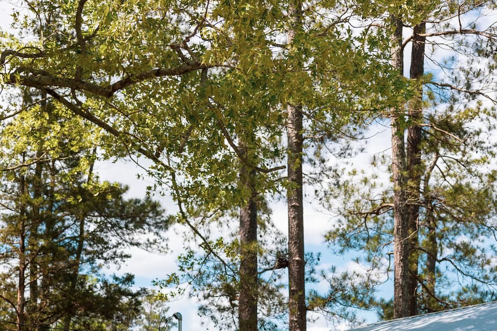 Photo of Outdoor in Monticello