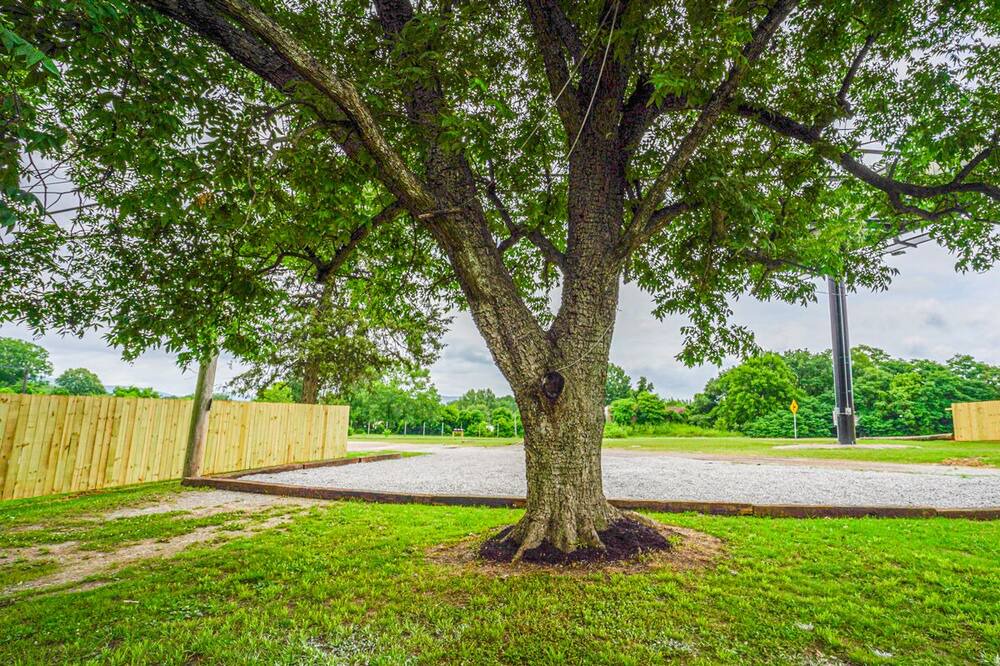 Photo of Outdoor in Laceys Spring