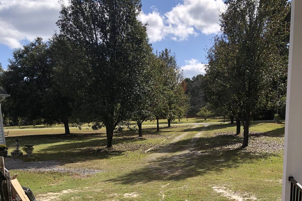 Photo of Outdoor in Summerville