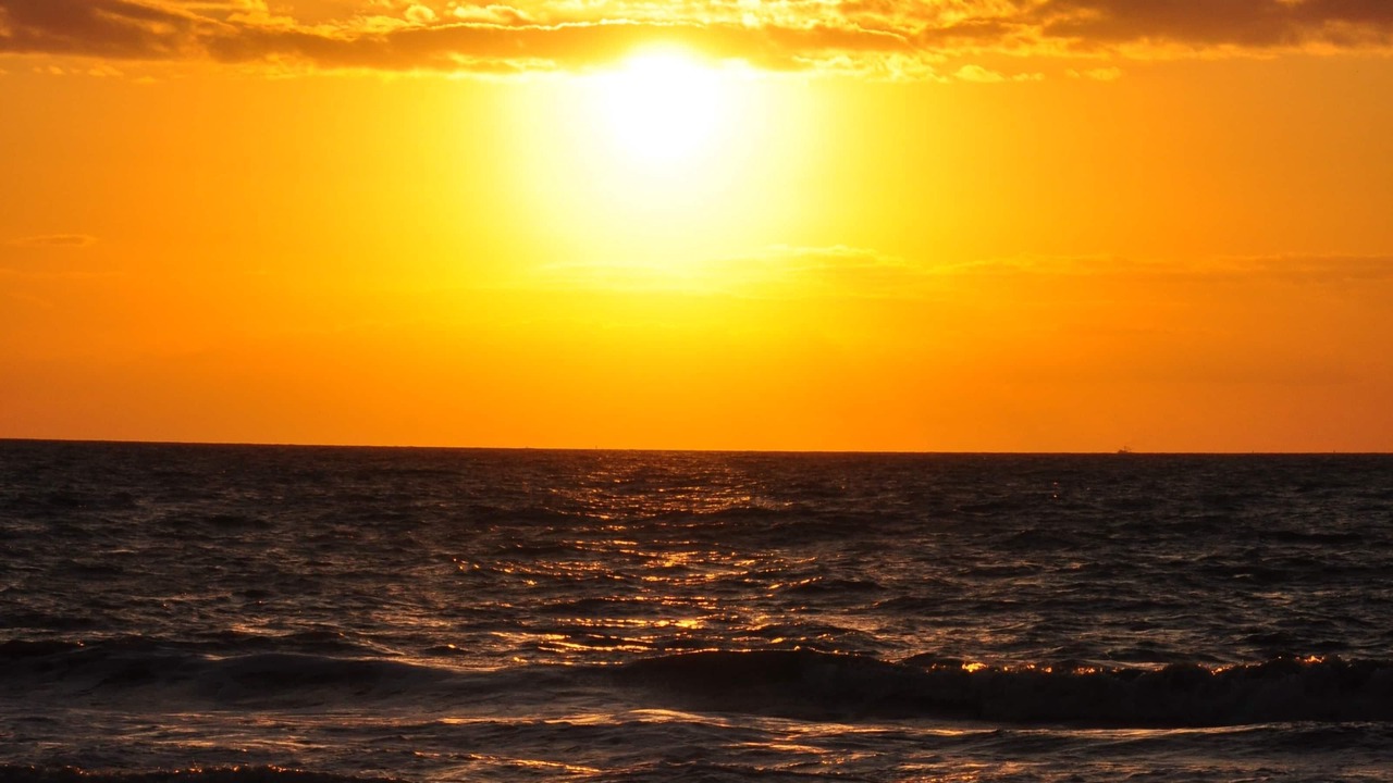 Photo of Others in Jekyll Island