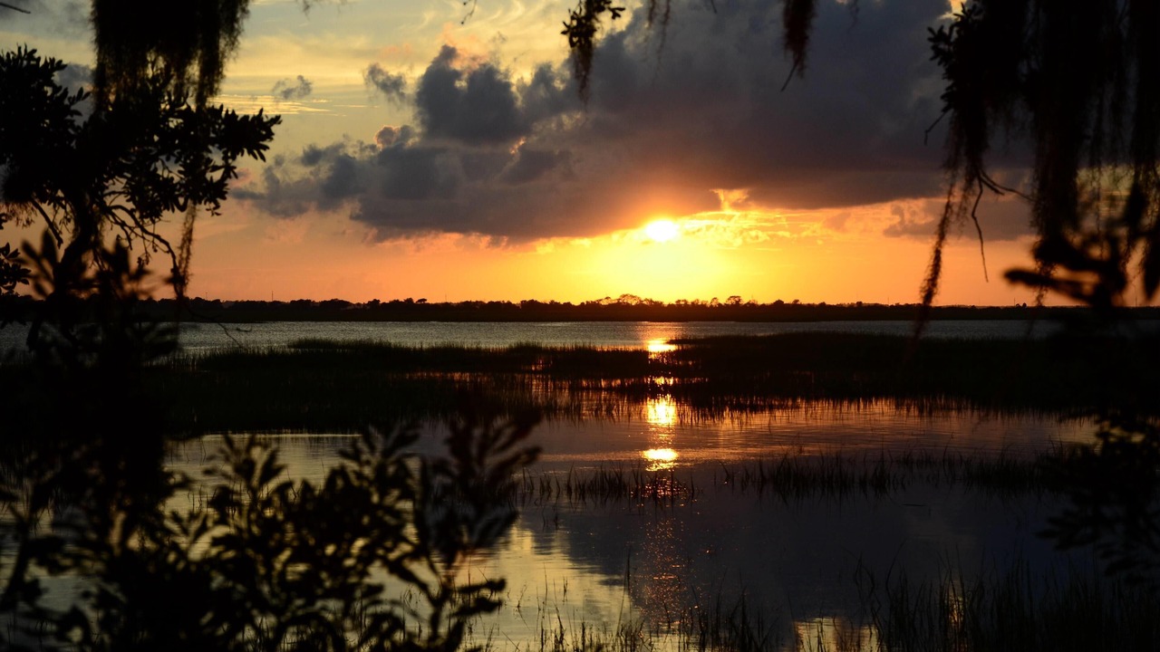 Photo of Others in Jekyll Island