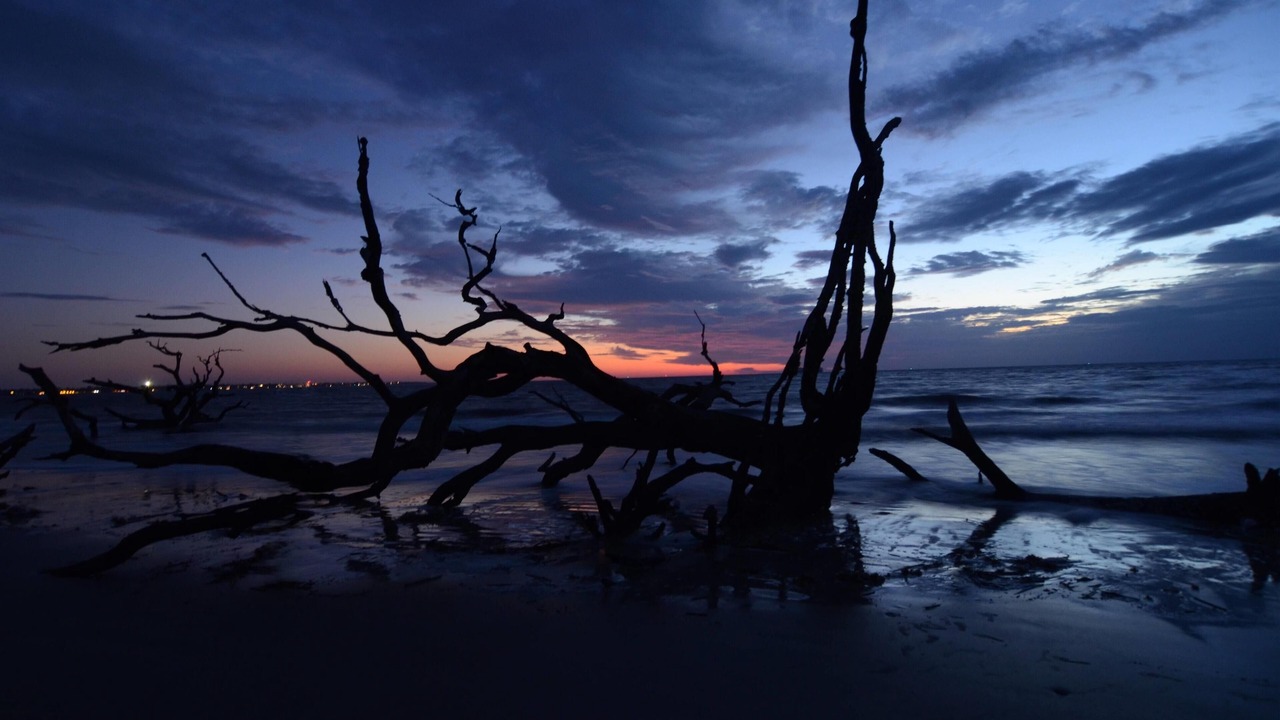Photo of Others in Jekyll Island
