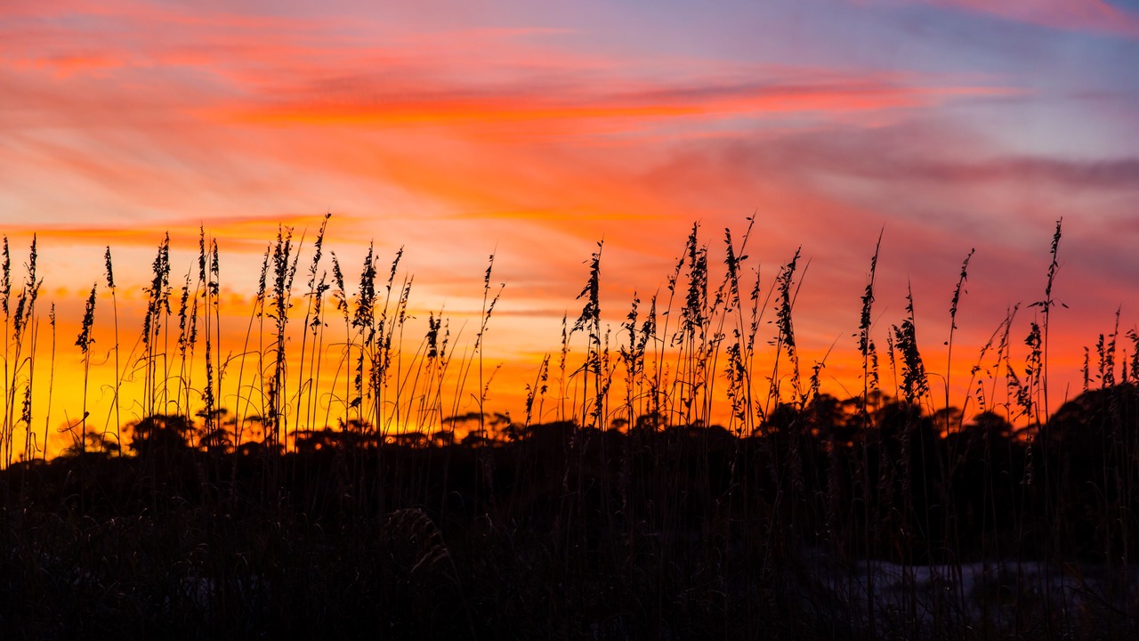Photo of Outdoor in Jekyll Island