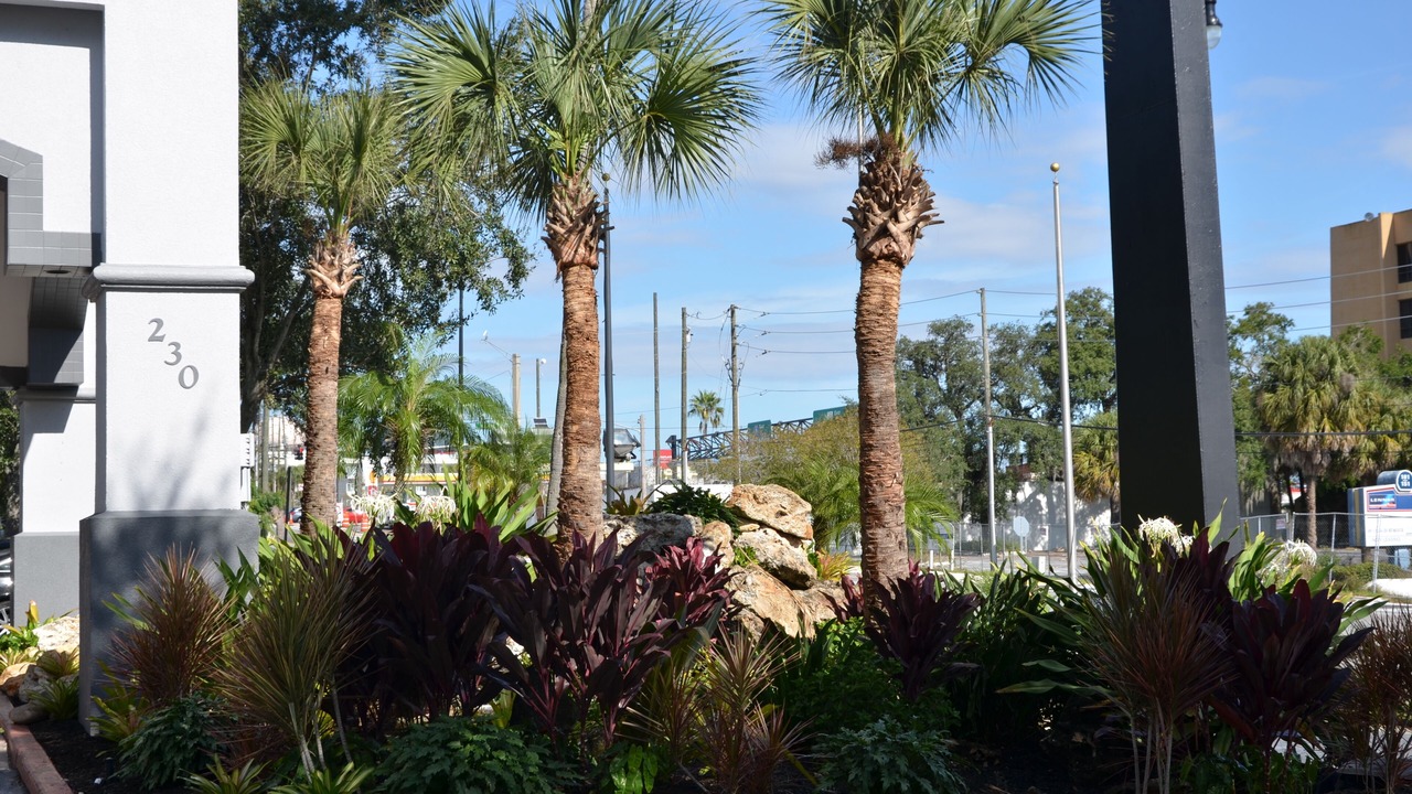 Photo of Outdoor in Altamonte Springs