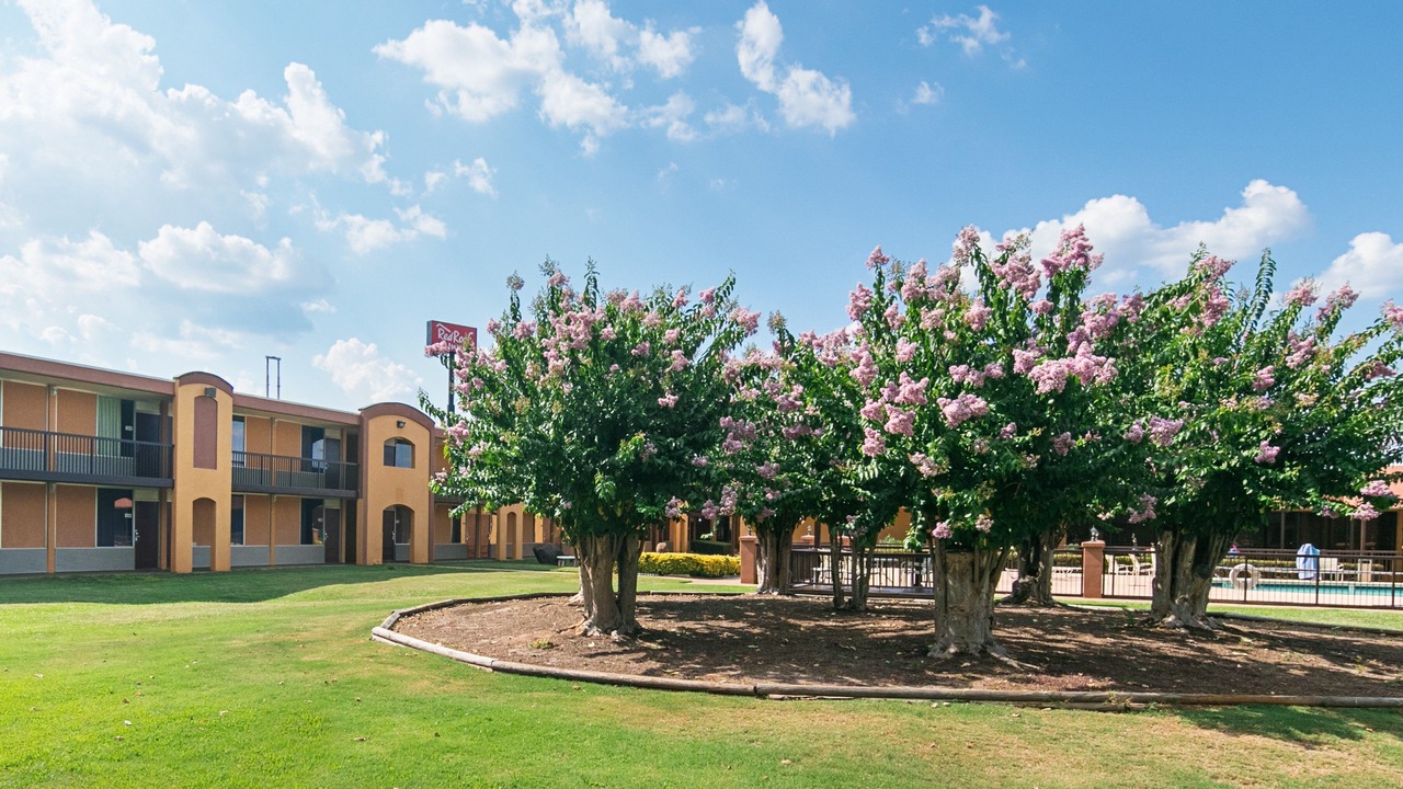 Photo of Outdoor in Forsyth
