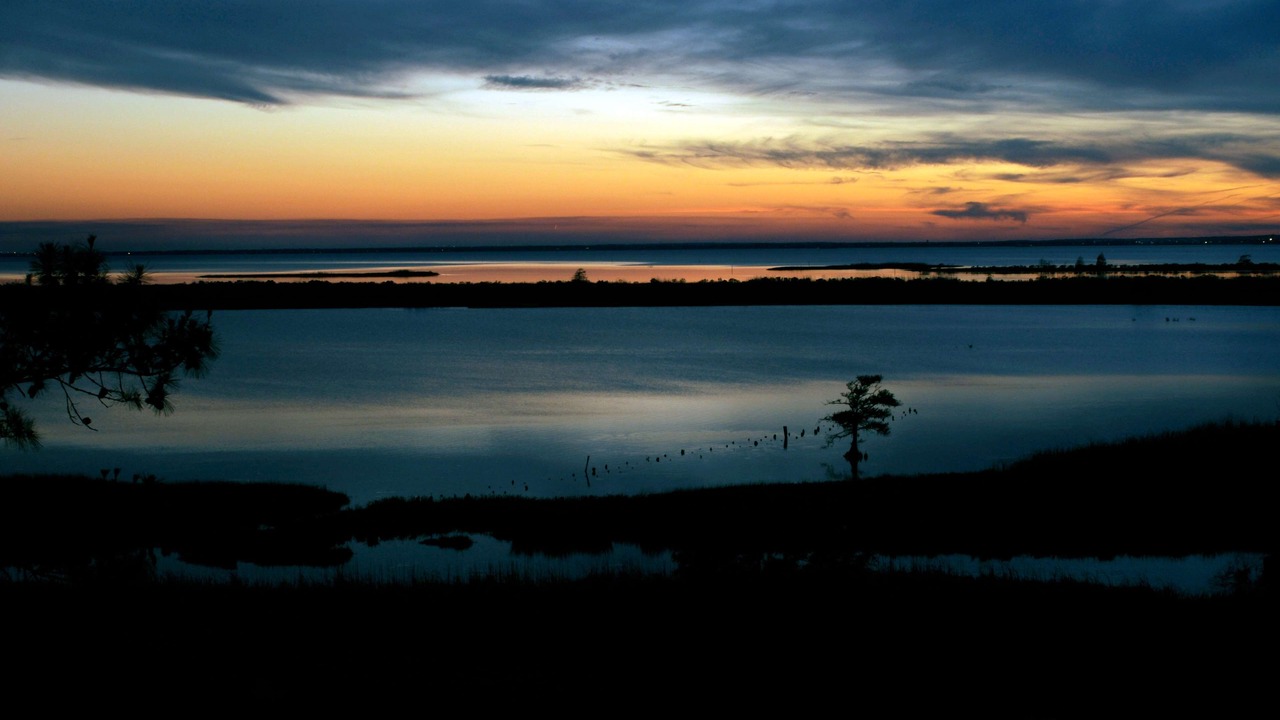 Photo of Others in Daphne