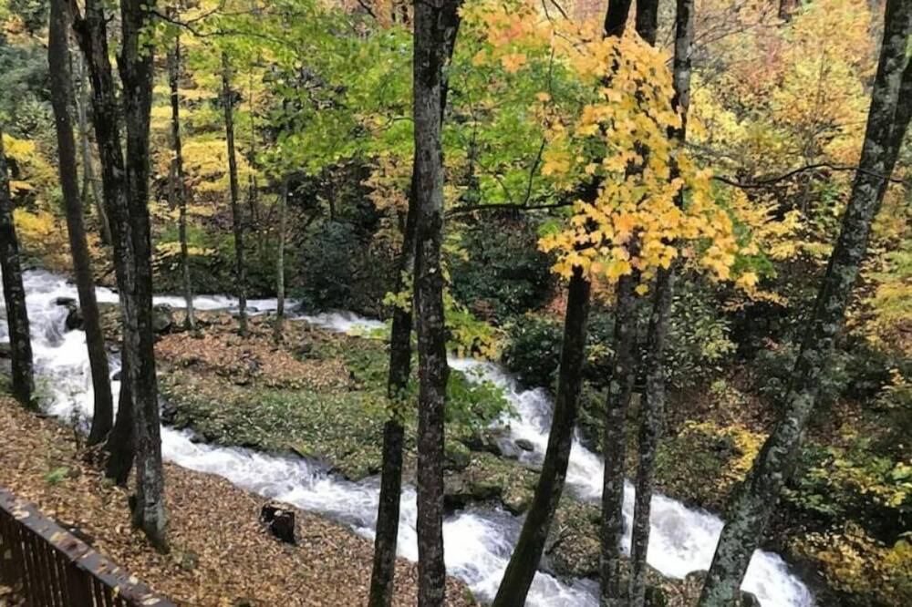 Photo of Others in Waynesville