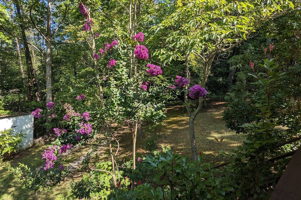 Photo of Outdoor in Hot Springs