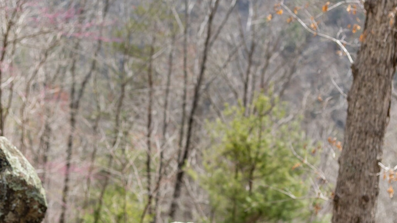 Photo of Outdoor in Hot Springs