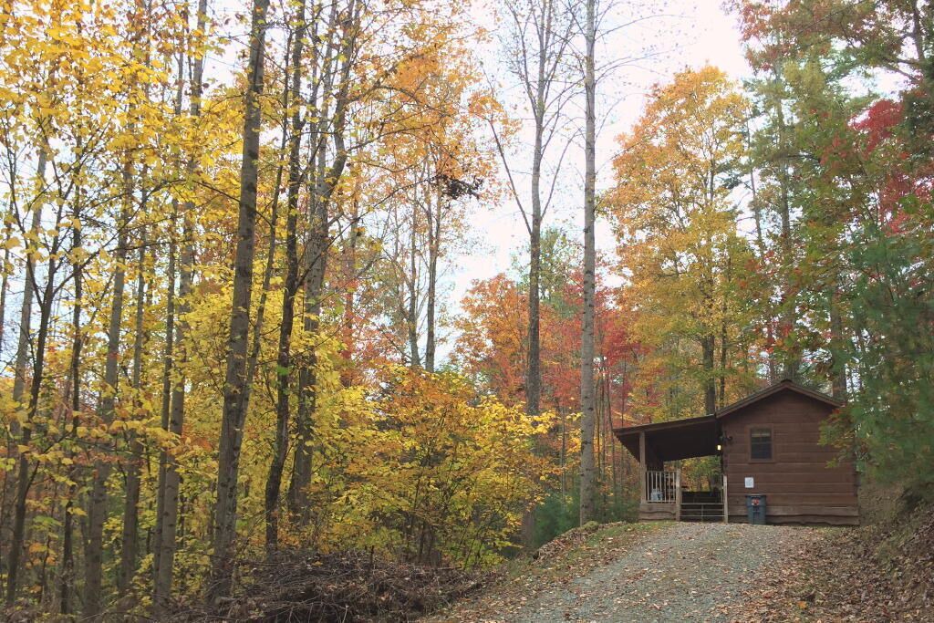 Photo of Outdoor in Hot Springs