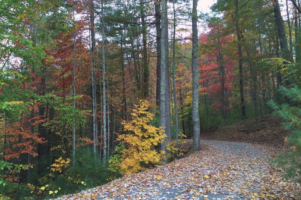 Photo of Outdoor in Hot Springs