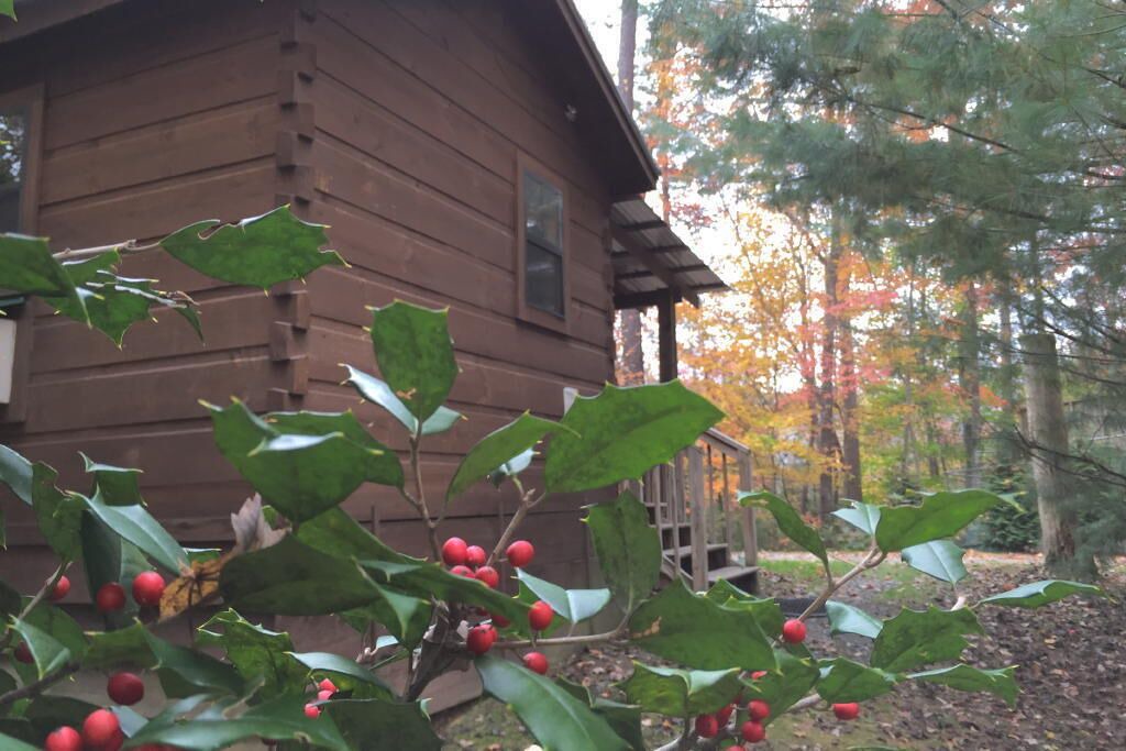 Photo of Outdoor in Hot Springs