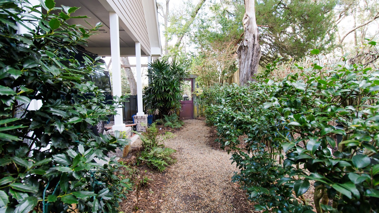 Photo of Outdoor in Saint Simons Island