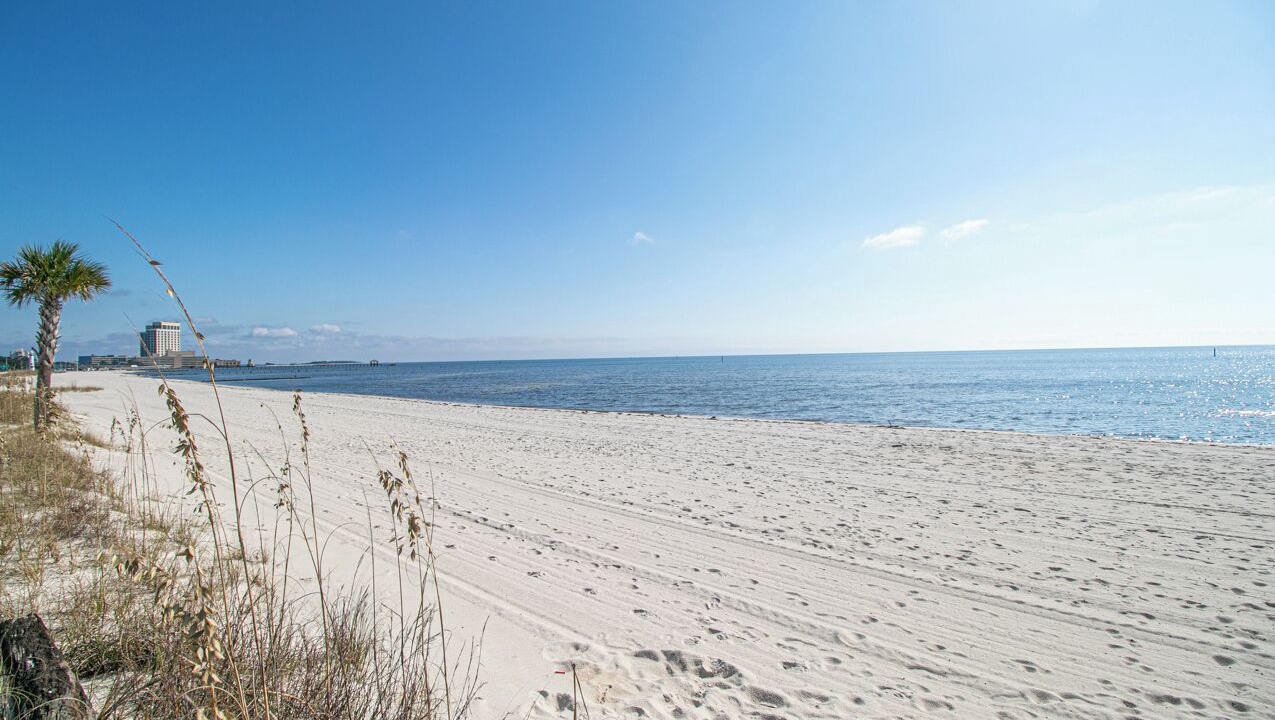 Photo of Others in Gulfport