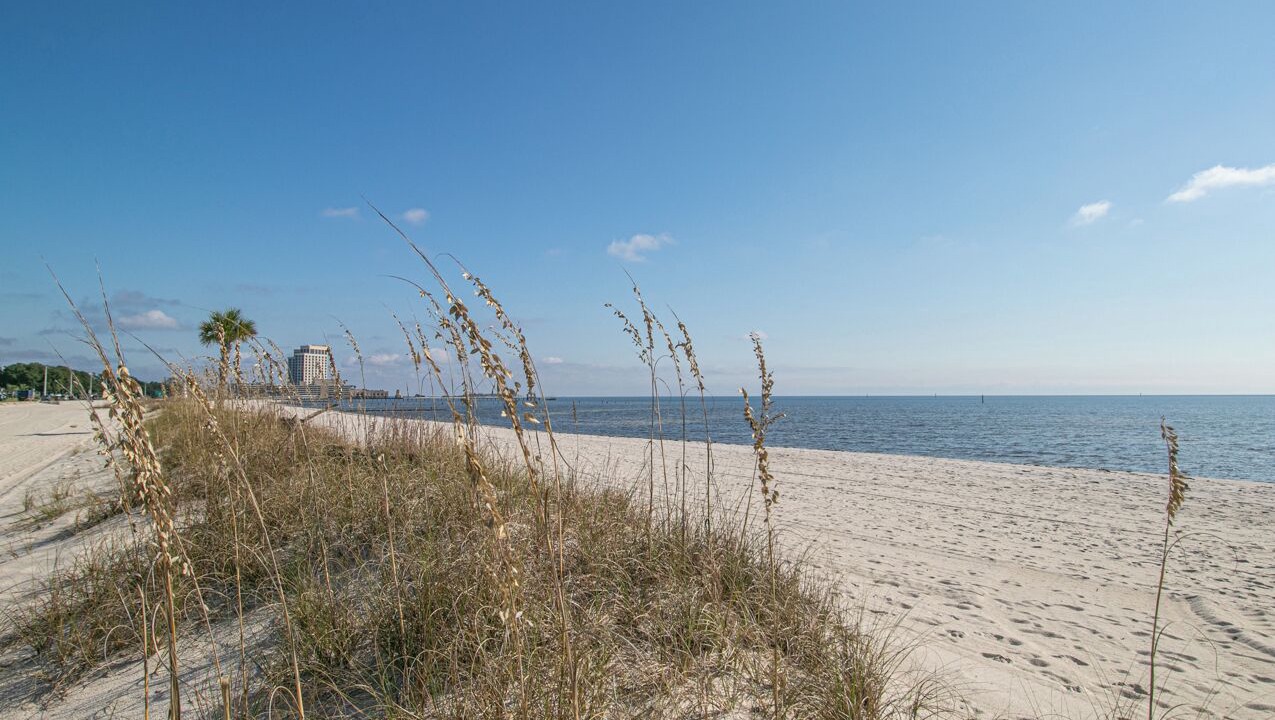 Photo of Others in Gulfport