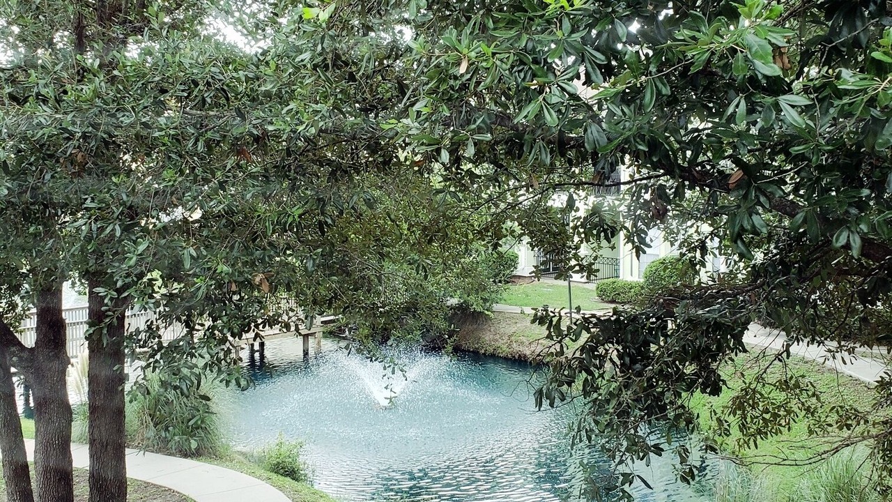Photo of Outdoor in Gulfport